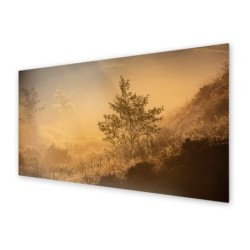 Panel kuchenny