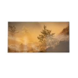 Panel kuchenny