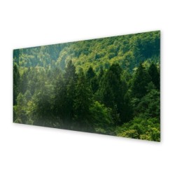 Panel kuchenny