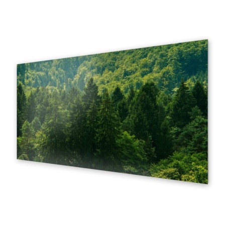 Panel kuchenny