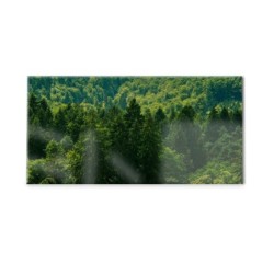 Panel kuchenny