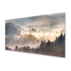 Panel kuchenny