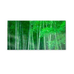 Panel kuchenny