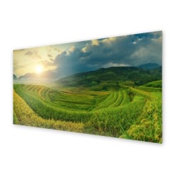 Panel kuchenny