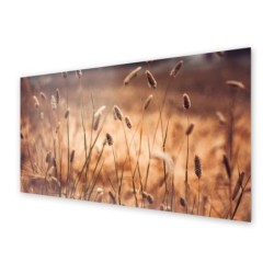 Panel kuchenny