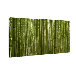 Las bambusowy w Kyoto