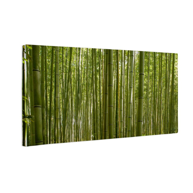 Las bambusowy w Kyoto