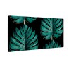 Zielone liście monstera