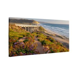 Plaża stanowa San Diego