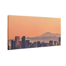 Panorama miasta Denver