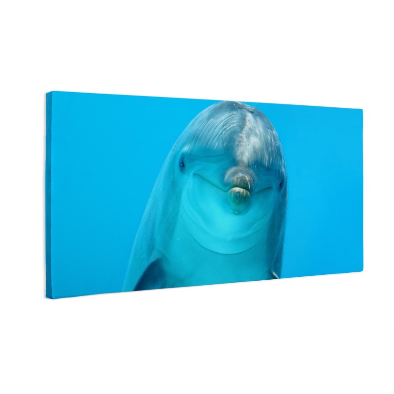 Delfin