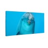 Delfin