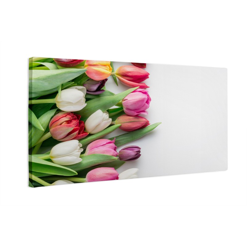 Kolorowe tulipany
