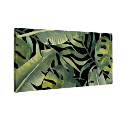Duże liście monstera