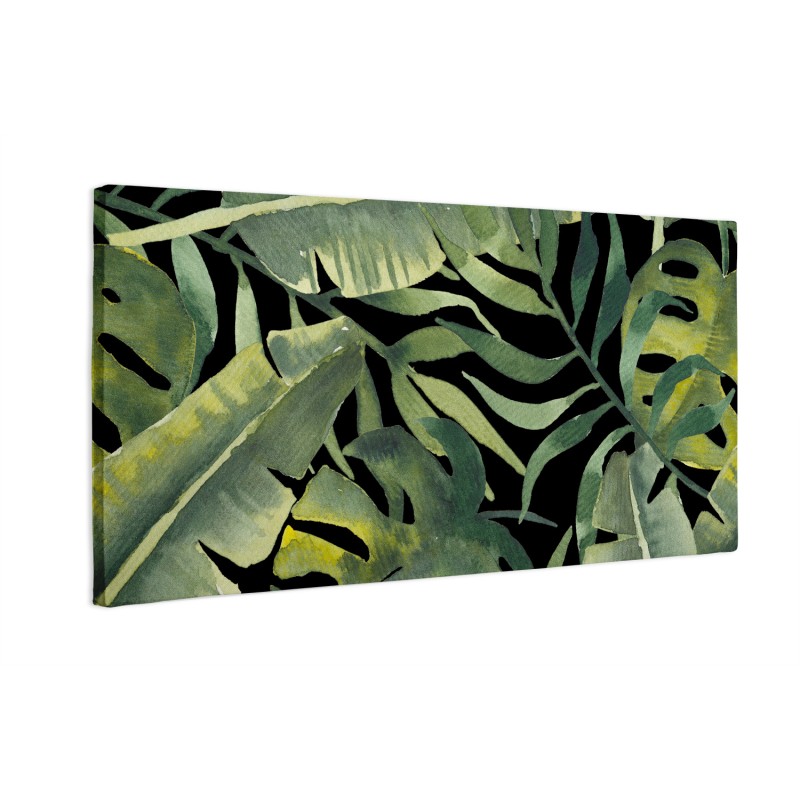 Duże liście monstera