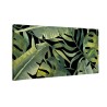 Duże liście monstera