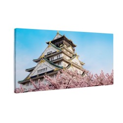 Zamek w Osace Japonia
