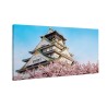 Zamek w Osace Japonia