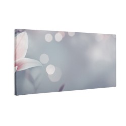 Różowy kwiat magnolii