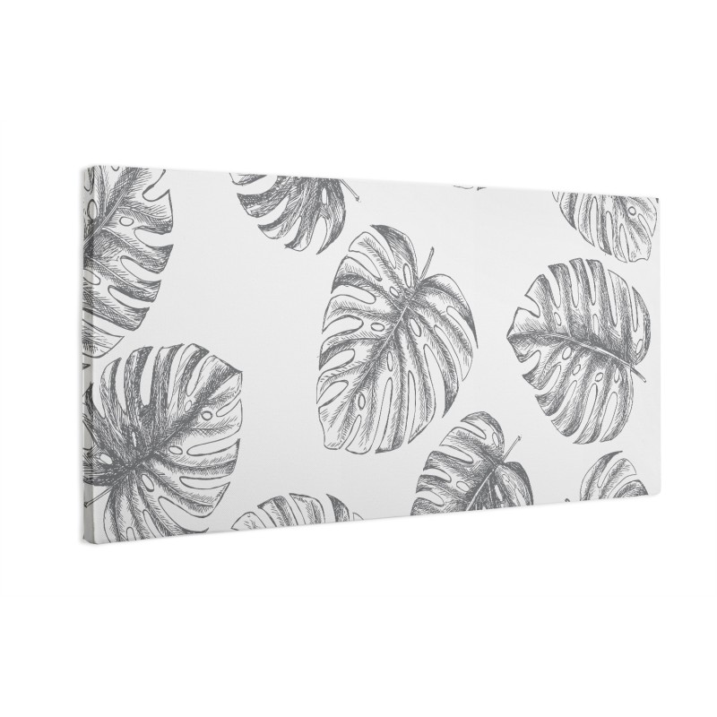 Liście monstera