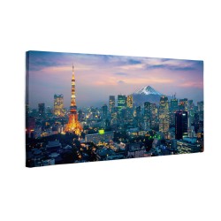 Widok na Tokyo