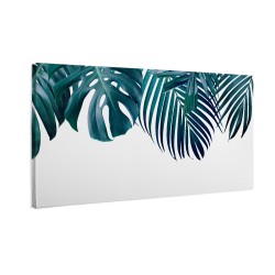Zielone liście monstera