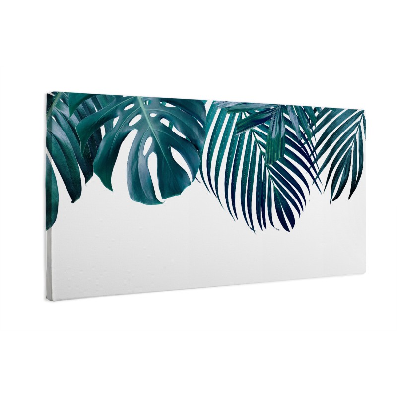 Zielone liście monstera