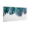 Zielone liście monstera