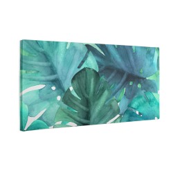 Zielone liście monstera