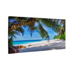 Piękna rajska plaża