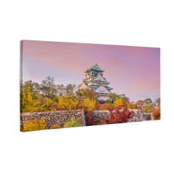 Zamek w Osace, Japonia