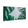 Zielone liście monstera