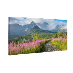 Hala Gasienicowa, Tatry