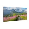 Hala Gasienicowa, Tatry