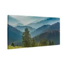 Widok na Schwarzwald