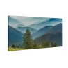Widok na Schwarzwald