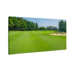 Widok na pole golfowe
