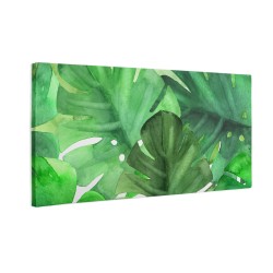 Zielone liście monstera