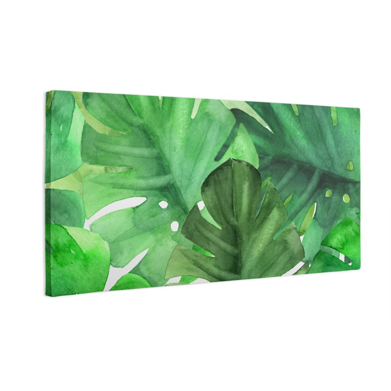 Zielone liście monstera