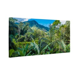 Park Narodowy,Madagaskar