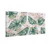 Zielone liście monstera