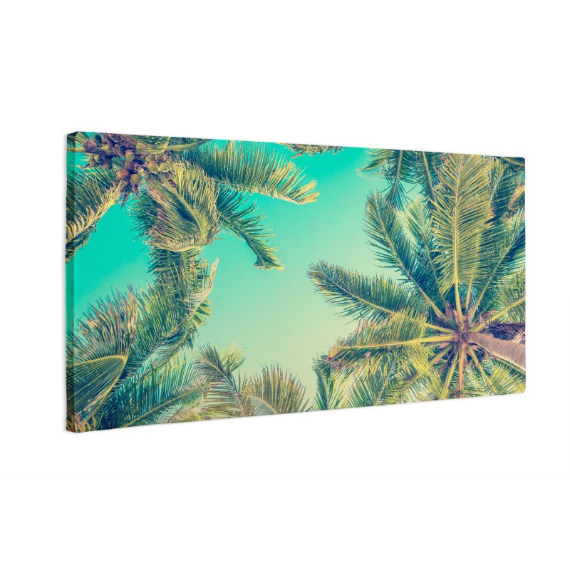 Niebo z palmami