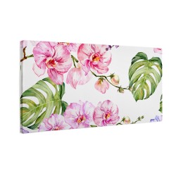 Różowe kwiaty orchidei