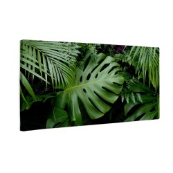 Zielone liście monstera