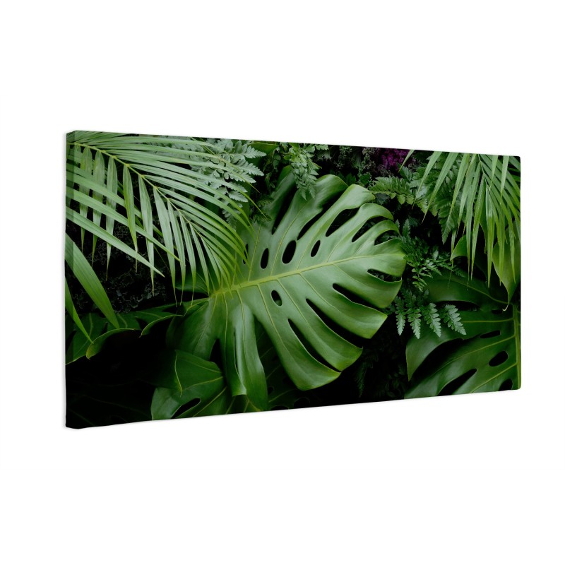 Zielone liście monstera