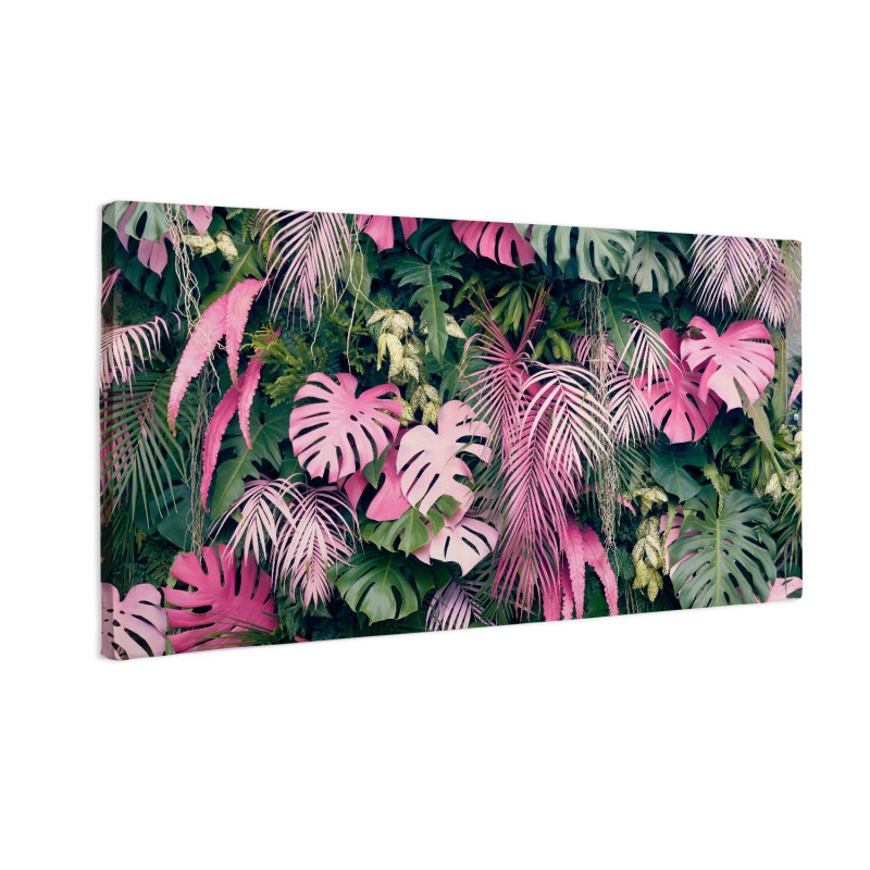 Kolorowe liście monstera