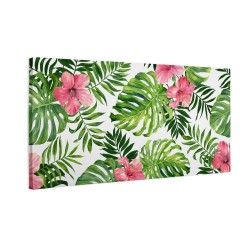 Zielone liście monstera