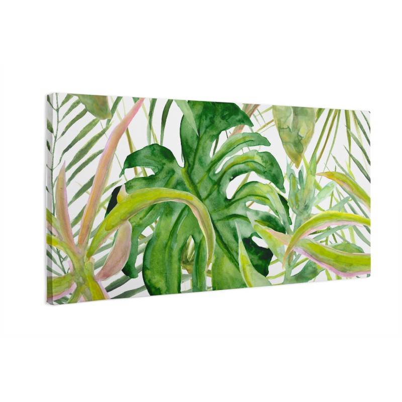 Zielone liście monstera