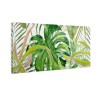 Zielone liście monstera