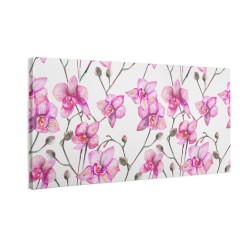 Kwiaty orchidei